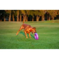 Іграшка для собак Puller Maxi 30 см (6492) - 9