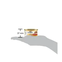 Вологий корм для кішок Purina Gourmet Gold. З лососем і куркою, шматочки в підливі 85г (7613032618674) - 4