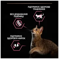 Сухий корм для кішок Purina Pro Plan Delicate Turkey зі смаком індички 10 кг (7613033566509) - Зображення 5