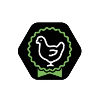 Сухий корм для собак Purina Pro Plan Small&Mini Puppy з куркою та рисом 7 кг (7613035123366) - 5