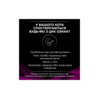 Сухий корм для кішок Purina Pro Plan Veterinary Diets UR Urinary при сечокам'яній хворобі 1.5 кг (7613035160552) - 6