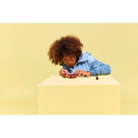 Конструктор LEGO Super Heroes Автомобиль Человека-паука vs. Отравленный Росомаха (76336) - Image 9