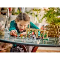 Конструктор LEGO Harry Potter Замок Хогвартс: урок гербології (76445) - 10