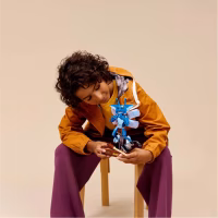 Конструктор LEGO Harry Potter Корнуэльские пикси (76461-) - Image 6