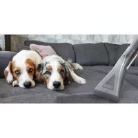 Пилосос Thomas 788121 - Зображення 3