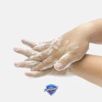 Рідке мило Safeguard Лаванда 225 мл (8001090338143/8006540209929) - 5