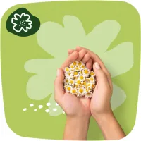 Гігієнічні прокладки Naturella Ultra Normal Plus (Розмір 2) 9 шт. (8006540098219) - 7