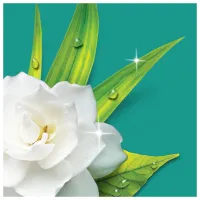 Засіб для миття підлоги Mr. Proper Ранкова роса 1.5 л (8006540208472) - 3