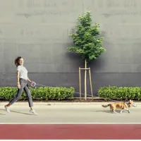 Повідець для собак WAUDOG R-leash світловідбиваюча стрічка XS-M до 40 кг 2.9 м рожевий (81277) - 5