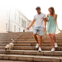 Повідець для собак WAUDOG R-leash світловідбиваюча стрічка XS-M до 40 кг 2.9 м рожевий (81277) - 10