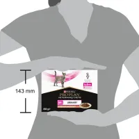 Вологий корм для кішок Purina Pro Plan Veterinary Diets UR ST/OX Urinary З лососем 10 x 85 г (8445290093851) - 12