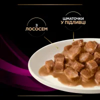 Вологий корм для кішок Purina Pro Plan Veterinary Diets UR ST/OX Urinary З лососем 10 x 85 г (8445290093851) - 7