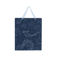 Подарочный пакет Axent пластиковый Flower Symphony-4, 25х19 см (8503-44-A) - Изображение 1