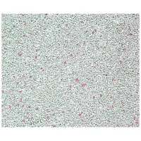 Наповнювач для туалету Catfun бентонітовий з ароматом дитячої присипки 10 л (8683655071490) - 2