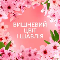 Кондиціонер для білизни Lenor Вишневий цвіт та шавлія 987 мл (8700216724197) - Зображення 6