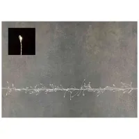 Гірлянда Luca Lighting кластер Мідна срібна струна теплий білий 14 м (8718861852837) - 4