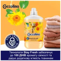 Кондиціонер для білизни Coccolino Fresh & Soft Orange Rush 1.7 л (8720181410659) - 6