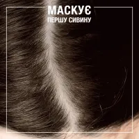 Відтінковий бальзам Syoss Color Glow Cool Brunette - Холодний Каштановий 100 мл (9000101679427) - 4