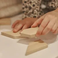 Розвиваюча іграшка Ігротеко Танграм 6 елементів (900569) - 3