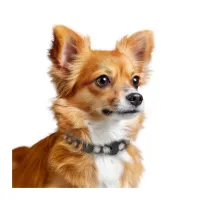 Нашийник для тварин Superium Блокер протипаразитарний для котів та собак 35 см (9108) - 8