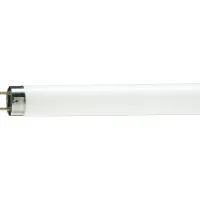 Лампочка Philips TL-D G13 600mm 18W/54-765 1SL/25 (928047305451) - Зображення 1