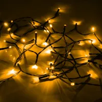 Гірлянда YES! Fun Вулична 41 LED Тепло-біла 2.8 м Статична Таймер На батарейках (975061) - 4