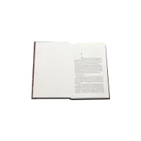 Книга Спів Божої пташки - Василь Шкляр КСД (9786171281141) - 4