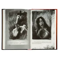 Книга Приховані малюнки - Джейсон Рекулак КСД (9786171298217) - Изображение 5