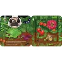 Книга Хто живе на фермі? Зазирни у віконечко - Джей Ґарнетт КСД (9786171502833) - 2