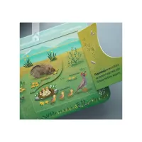 Книга Хто живе у лісі? Зазирни у віконечко - Джей Ґарнетт КСД (9786171502840) - 2