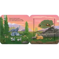 Книга Хто живе у лісі? Зазирни у віконечко - Джей Ґарнетт КСД (9786171502840) - 3