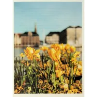 Книга Мистецтво праці по-данськи. Як знайти щастя у роботі й за її межами - Мік Вікінг КСД (9786171507203) - 7