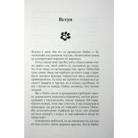 Книга Таємничий світ котів - Гербі Бреннан Фабула (9786175223475) - Изображение 10