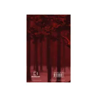 Книга Кров і попіл: Із крові й попелу (Подарункове видання) - Дженніфер Л. Арментраут BookChef (9786175481486) - 3