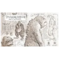 Книга Гаррі Поттер і філософський камінь. Велике ілюстроване видання - Джоан Ролінґ А-ба-ба-га-ла-ма-га (9786175851005) - 5