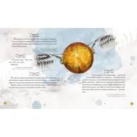 Книга Гаррі Поттер. Магічний рік. Велике ілюстроване видання - Джоан Ролінґ А-ба-ба-га-ла-ма-га (9786175854075) - Зображення 7