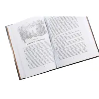 Книга Сказання про дітей Гуріна - Джон Р. Р. Толкін Астролябія (9786176641957) - 5