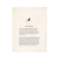 Книга Ліндберґ. Історія неймовірних пригод Мишеняти-летуна - Торбен Кульман Видавництво Старого Лева (9786176792215) - Зображення 4