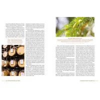 Книга Смак пива. Інсайдерський путівник у світі найвидатнішого напою людства - Ренді Мошер Видавництво Старого Лева (9786176794882) - 4