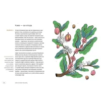 Книга Нові кавові правила - Захарі Карлсен, Джордан Майклмен Видавництво Старого Лева (9786176798910) - 3