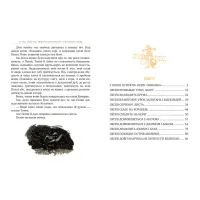 Книга Пеппі Довгапанчоха в південних морях. Книга 3 - Астрід Ліндґрен Видавництво РМ (9786178373382) - 5