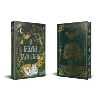 Книга Остання Фінестра. Книга 1: Це безжальне благословення - Емілі Сід Видавництво РМ (9786178373764) - 2