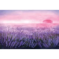 Книга Вересова Міль - Оксана Була Видавництво Старого Лева (9789664480359) - 3