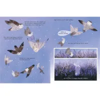 Книга Вересова Міль - Оксана Була Видавництво Старого Лева (9789664480359) - 7