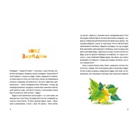 Книга Одинадцять помідорів і один маленький - Євгенія Кузнєцова Видавництво Старого Лева (9789664481141) - 7
