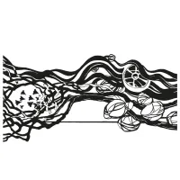 Книга Докричатися до живих - Любомир Стринаглюк Видавництво Старого Лева (9789664484890) - 3