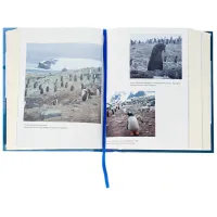 Книга Мрія про Антарктиду - Маркіян Прохасько Видавництво Старого Лева (9789666799886) - 5