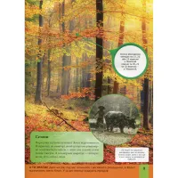 Книга Дитяча енциклопедія планети Земля - Клер Гібберт, Гонор Гед Vivat (9789669429865) - Зображення 9