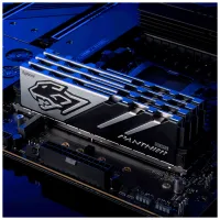 Модуль пам'яті для комп'ютера DDR5 32GB (2x16GB) 5200 MHz Panther Apacer (AH5U32G52C5227BAA-2) - 5