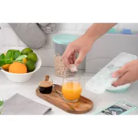 Форма для льоду Ardesto Fresh з кришкою Тіффані (AR1104TP) - 4